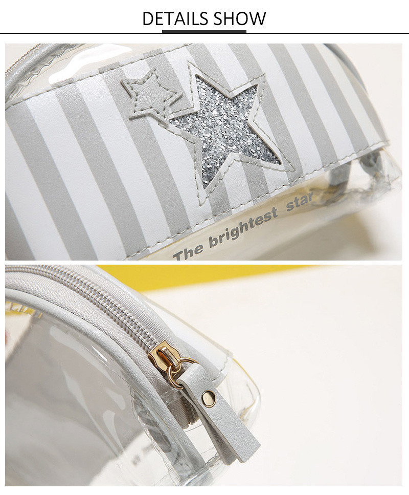 Blank Transparent Shiny Glitter Powder Star Makeup Clutch Bag Women
