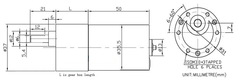 37mm Brushless DC Gear Motor 12V 24V