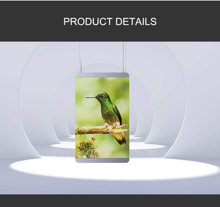 LED Poster Display Flexible HD Digital LED Poster Display P2 Outdoor Waterproof 1920hz Refresh Rate