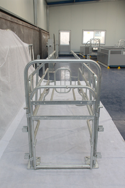 High Strength Sow Farrowing Crate , Swine Farrowing Barns Multi Functional