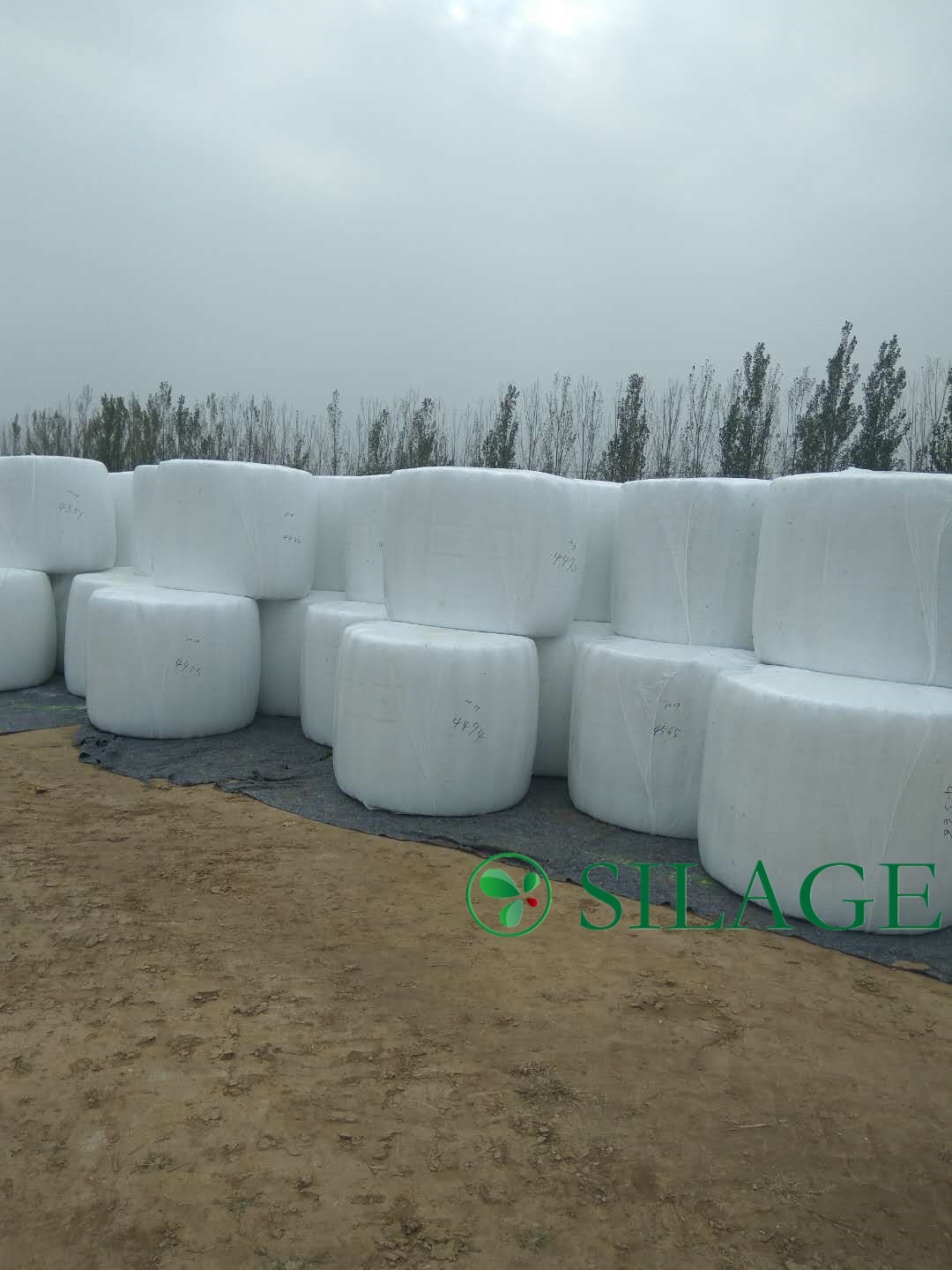 Best Quality White Color Silage Wrap Film