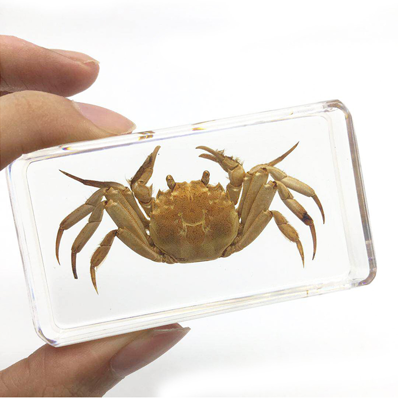 cubic Acrylic resin paper weight with custom embedding inside