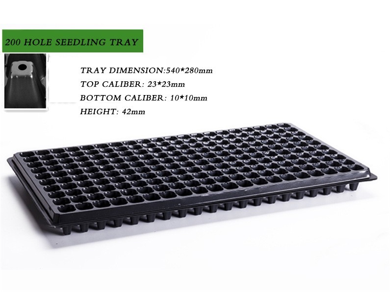 1L Propagation 200 Cell HIPS Plastic Seedling Tray Greenhouse Nursery Seed Tray