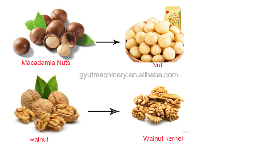 230 KG Automatic Pecan Kernel Peeling Machine Hard Shell Cracker for Walnut Shelling