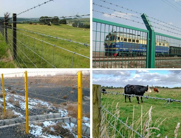 Pvc Coated Stainless Steel Barbed Wire Bwg 14 X 14 Gauge Prison / Highway 20kg