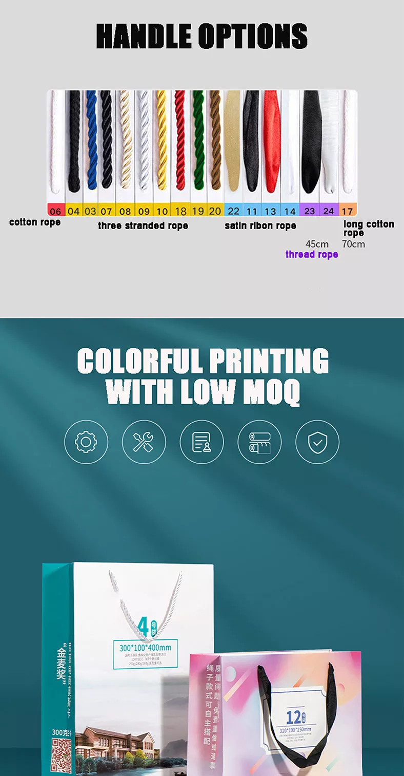 Pantone Colors Clothing Shoe Kraft Paper Bags Offset Printing Promotion Gift Bag