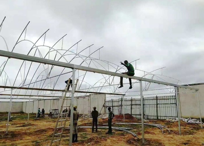150-200micro Plastic Film Greenhouse Four Seasons With Whole System Flowers Vegetables Plants
