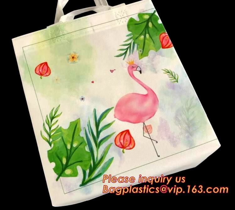 Non Woven Shopping Bag Tnt Material/Promotional Polypropylene Non Woven Bags/Non Woven Tote Bags, Eco Friendly Biodegrad