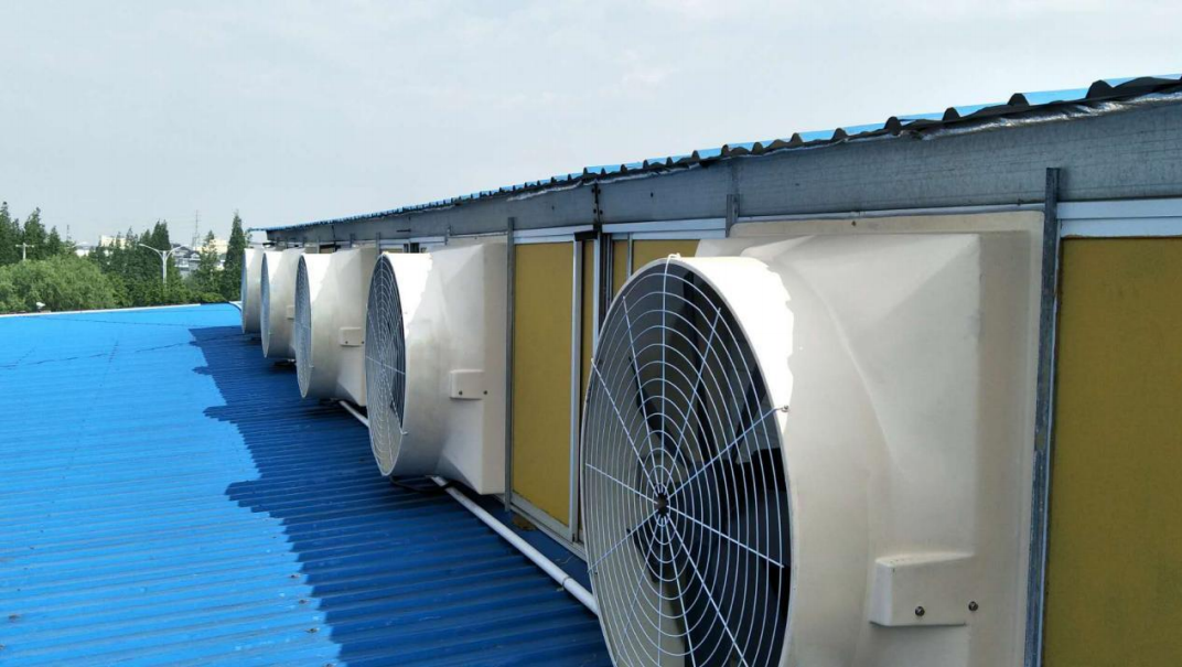 Terrui Negative Pressure Blower High Efficiency Easy To Clean And Ideal For Low Noise