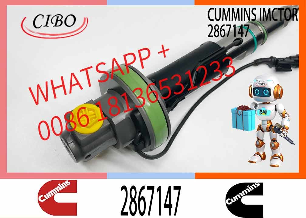 New Repair Kit for K19 Diesel Engine Injector Model Numbers 2867147 2867149 2882077 4928349 4955524 4964170 4964171 4964
