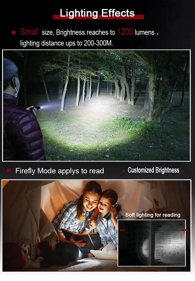 Portable Waterproof Torch Light , IP65 USB Charging Flashlight With 18650 Battery
