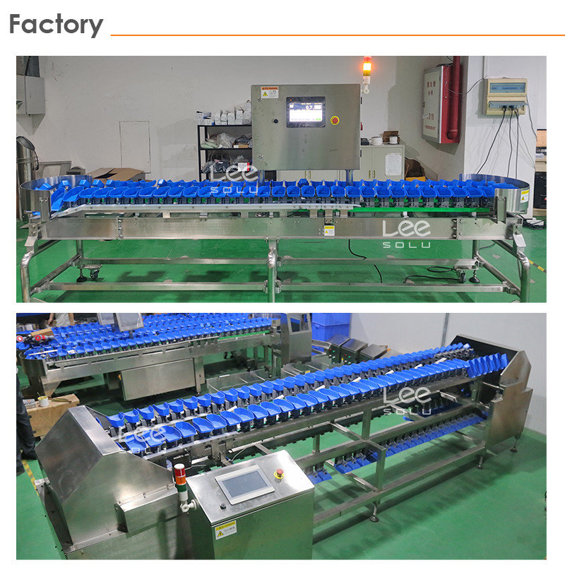 Stainless Steel Tomato Garlic Onion Sorting Machine Potato Grading Size Grader Machine Vegetable Weight Sorting Maine