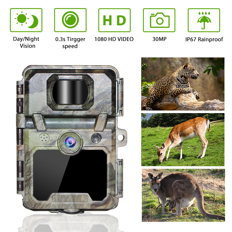 Hidden 2.4 Inch LCD 30MP Wildlife Hunting Camera PIR Sensitivity