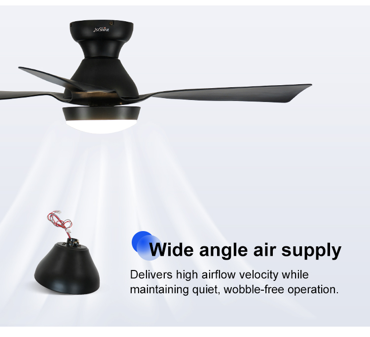 ceiling fan