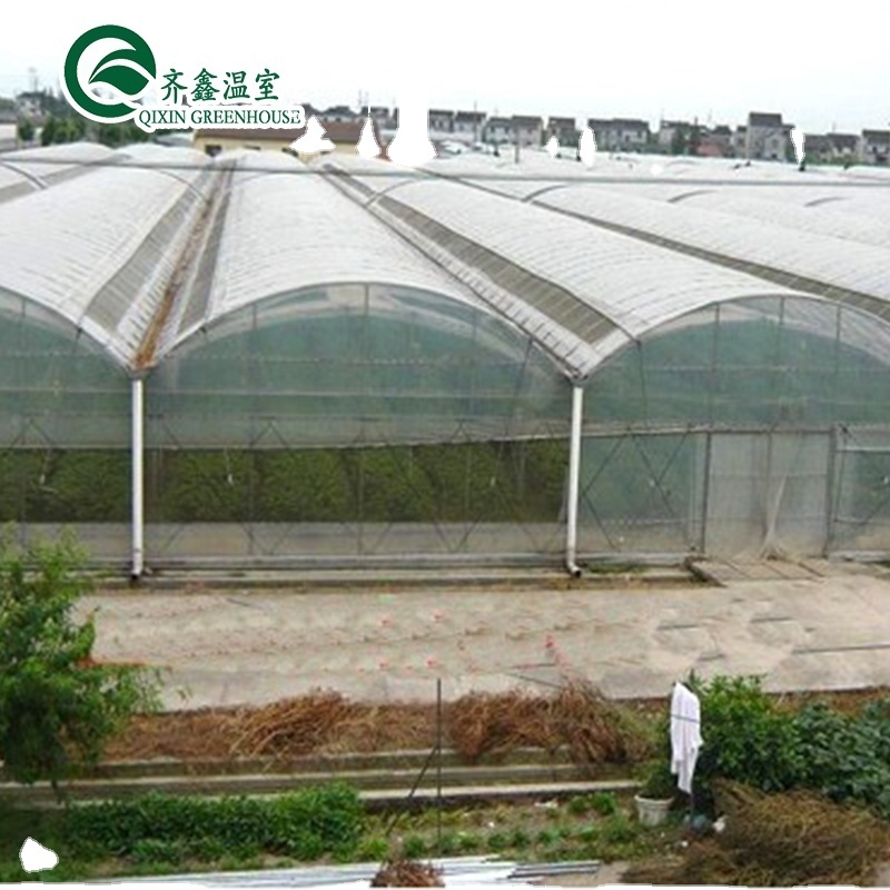 Multi-Span Greenhouse Film Customized for UV Protection and Optimal Growing Conditions
