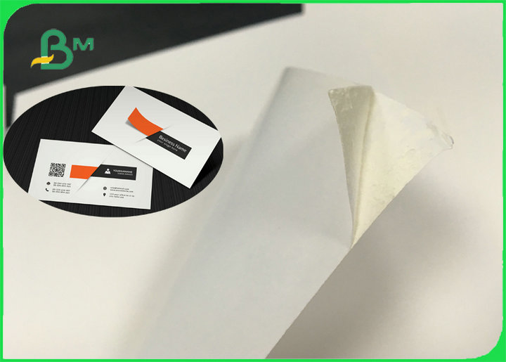 High Bulk Ecofriendly GC1 FBB Ivory Board Paper For Box Packing 250gsm - 300gsm
