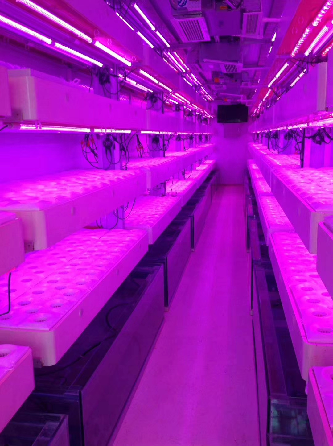 Container Farm Hydroponic Growing System Multi-Span Agricultural Greenhouses