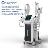 Buy cheap cryolipo slimming mchine ICE shaping IV pro from wholesalers