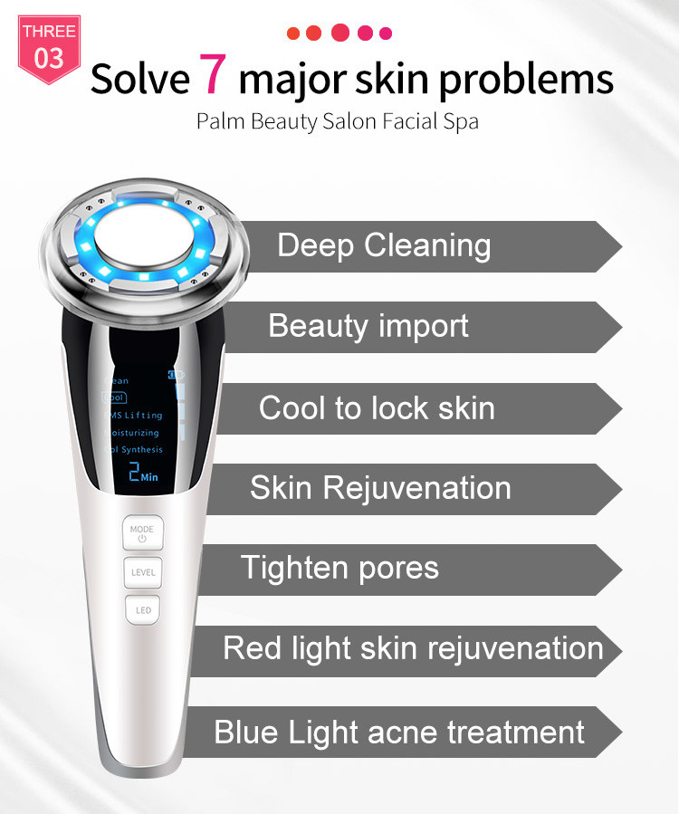 Professional Galvanic Massage 2 In 1 EMS Beauty Device