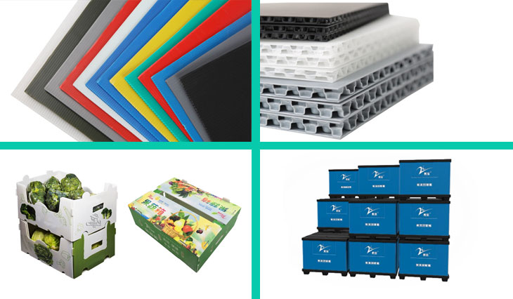 Bio PP Corrugated Sheet Recyclable Polypropylene Hollow Board