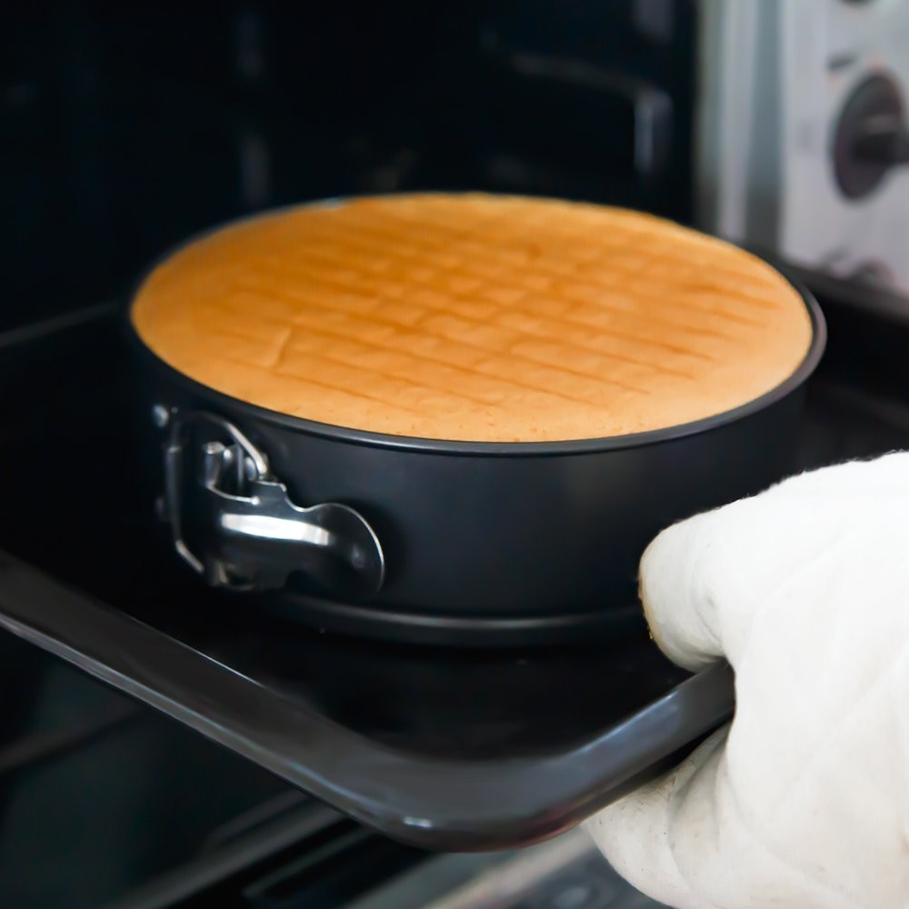 9 Inch Non-stick Springform Pan/Cheesecake Pan/Leakproof Cake Pan Bakeware