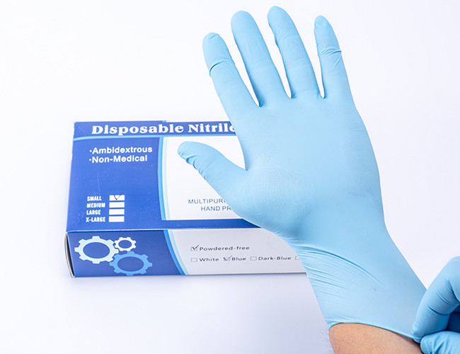 Ambidextrous Non Medical Disposable Nitrile Gloves With Powdered Free