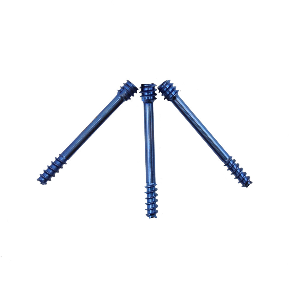 Orthopedic Herbert Bone Cannulated Compression Headless Screw Implant