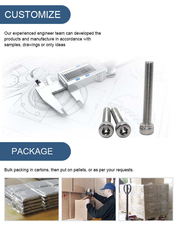 High Tension M5 M6 M8 M10 M12 Stainless Steel Allen Key Bolt ISO9001 2015 Certified