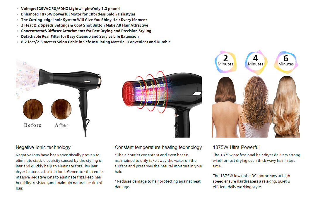 Professional Home Ionic Hair Dryer With DC Motor