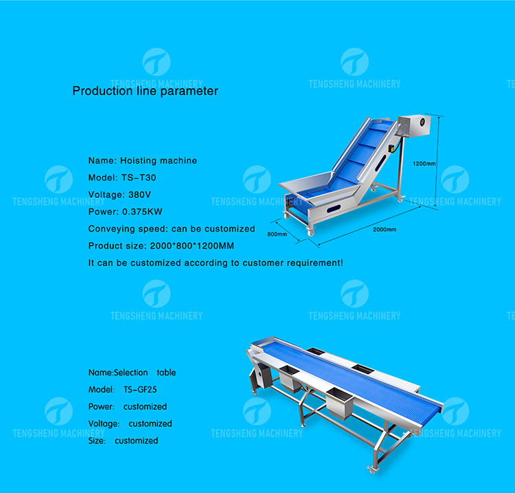 1500KG/H Orange Selection Fruit And Vegetable Processing Line
