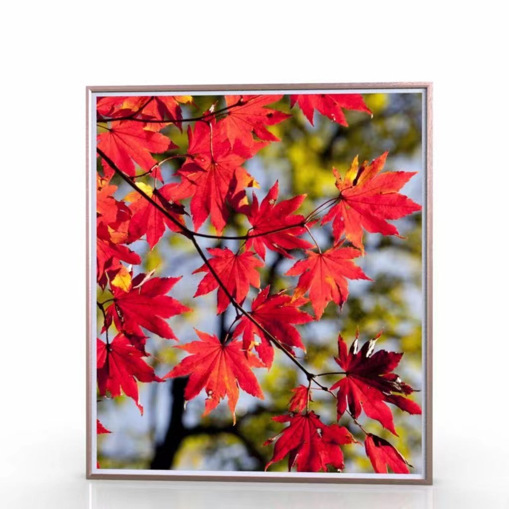 65inch 4K Ultra HD Wall Mounted Digital Signage With 4mm/10mm Spliced Edges And Infrared Touch Panel