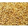 Buy cheap Barley shelling machine / Barley sheller /Barley huller from wholesalers