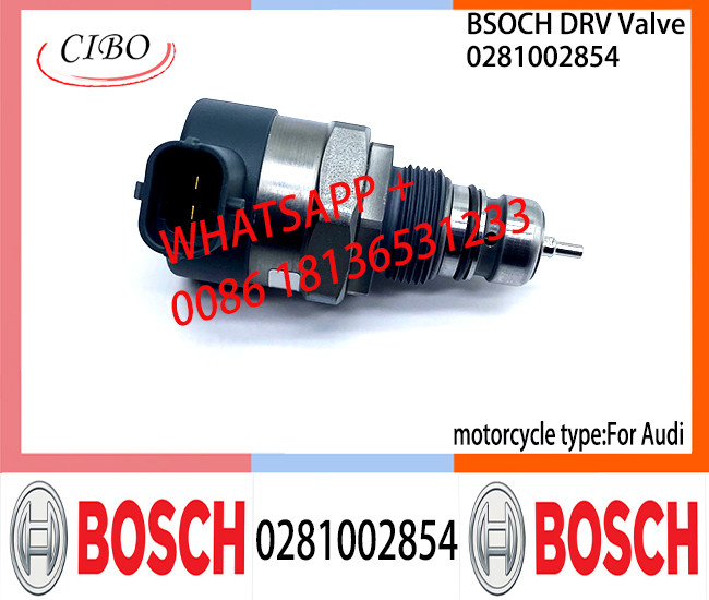 BOSCH DRV Valve 0281002854 Control Valve 0281002854 for AUDI