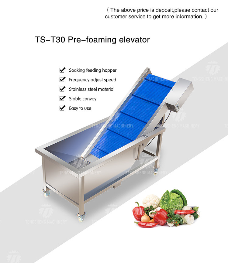 380V 0.375KW Stainless steel lifting conveyor food fruit and vegetable conveyor net belt lifting conveyor