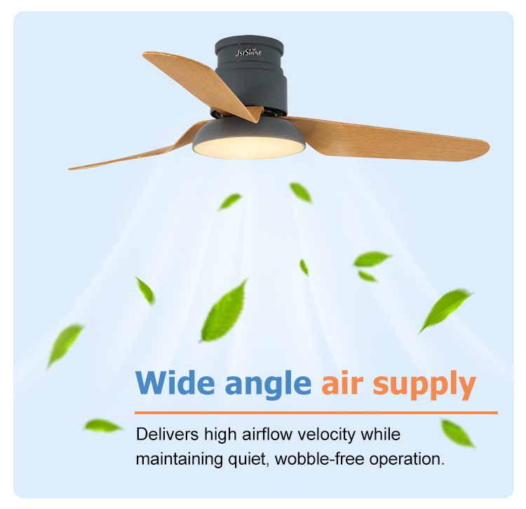 ceiling fan