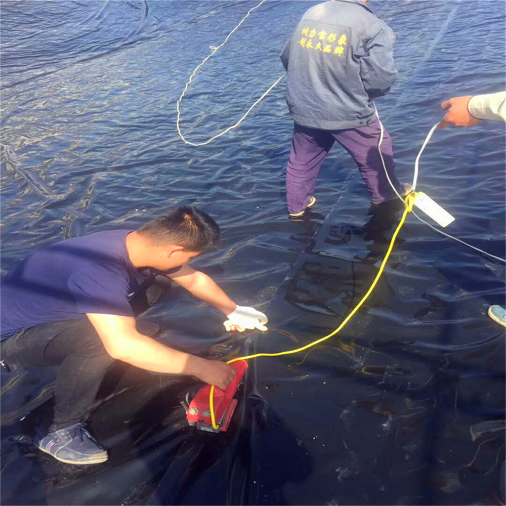 Anti-leakage Function HDPE/LDPE/EVA Geomembrane Liner at with Freely Sampled Option