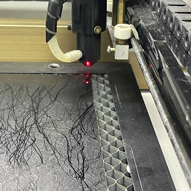 Daqin Screen Protector Laser Cutting Machine For Mobile Privacy Protector 700W 50Hz