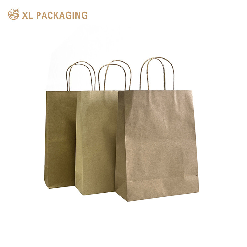 Custom Printed Recycled Kraft Paper Shopping Bag Boutique Style With Your Own Logo