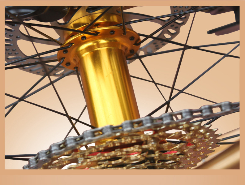 Aluminum 30 Speed 26 Inch Fat Tire Bike