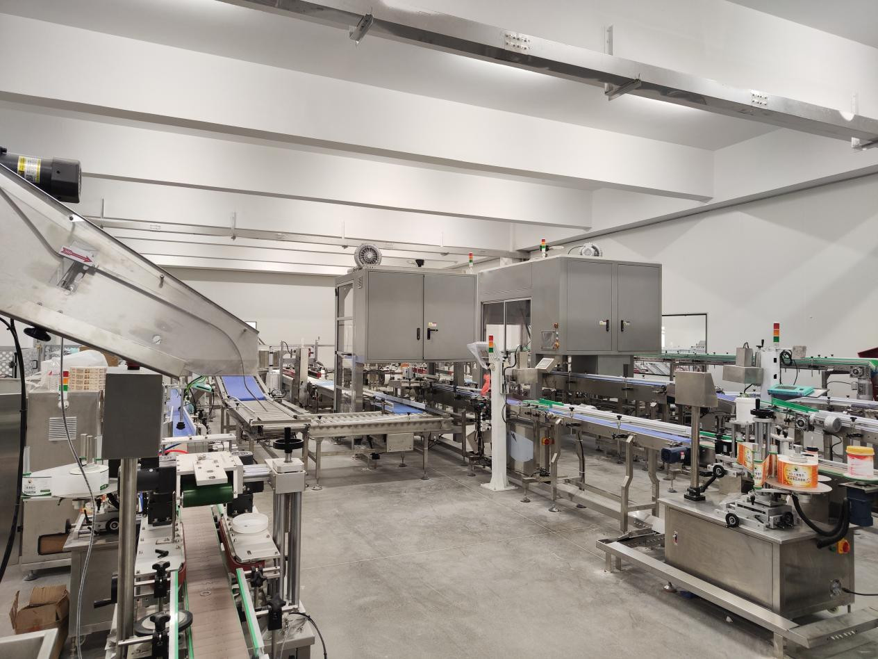 Fully Automatic Cartoning And Palletizing Production Line