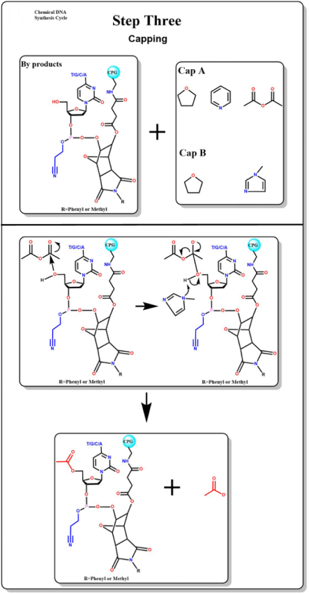 IVD Company's Nucleic Acid Oligonucleotide Synthesis Equipment for Optimal Efficiency
