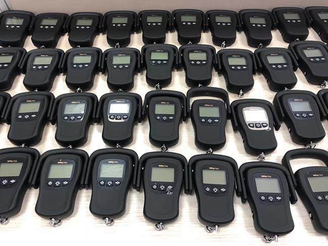 Mini LED Display Crane Luggage Weighing Scale CE Proved