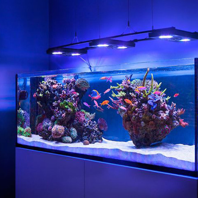 Custom Color 12mm Aquarium Acrylic Sheets Crystal Plexiglass Pmma Sheets