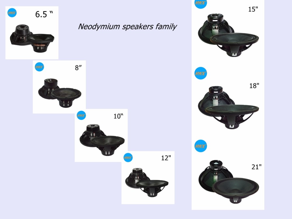 Wireless KSV Former 1 inch 18kHz Neodymium HF Driver