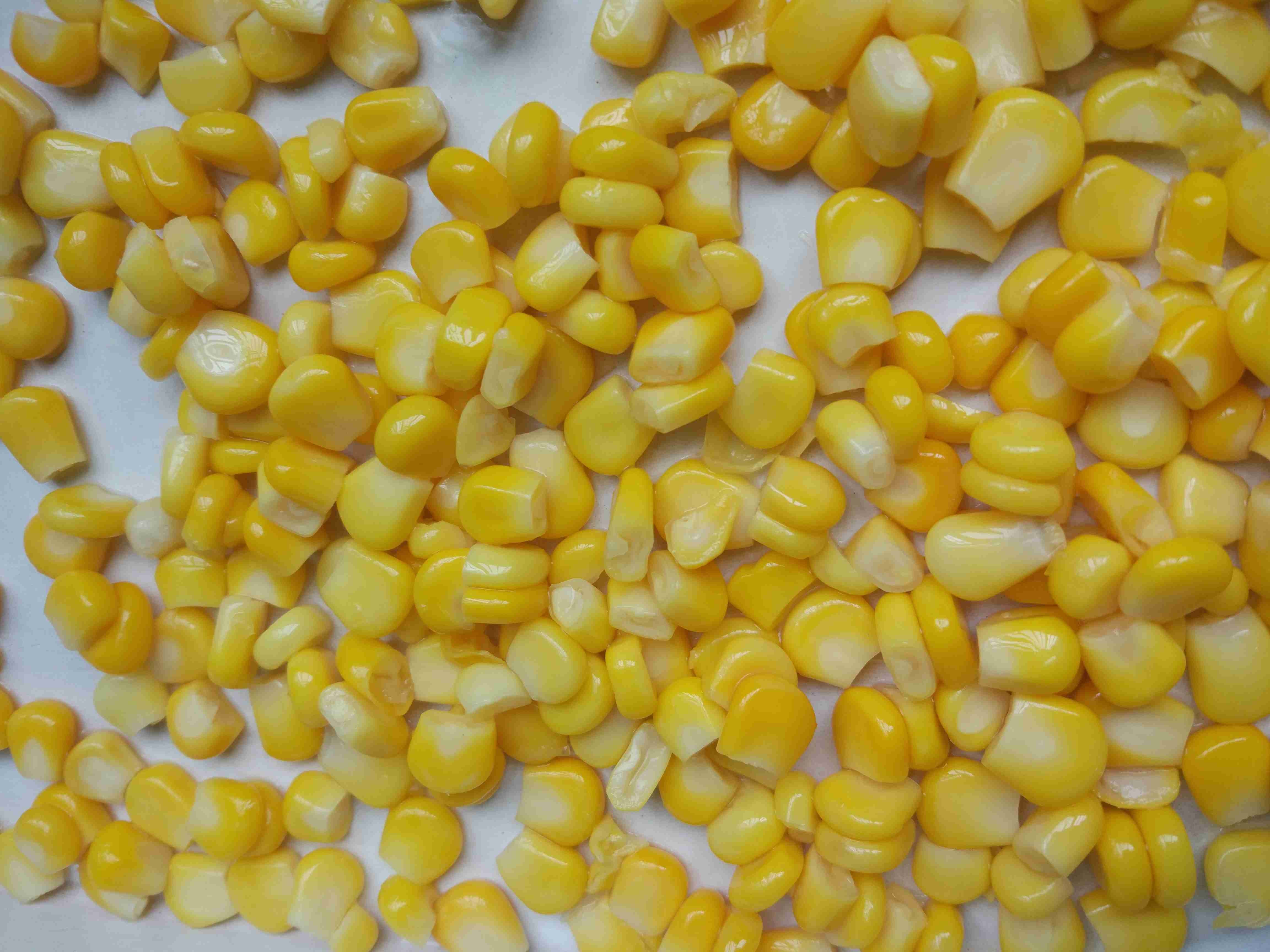 From China Fresh Natural Canned Preserved Sweet Kernel Corn In 340g