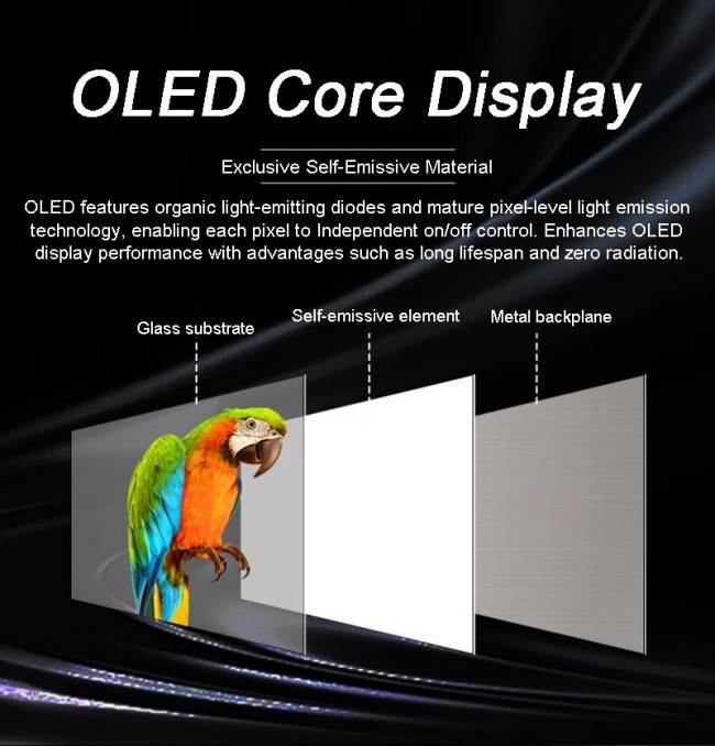 55 Inch Interactive Touch Advertising Screen Smart Transparent Oled Display for Exhibition Jewelry Luxury Display