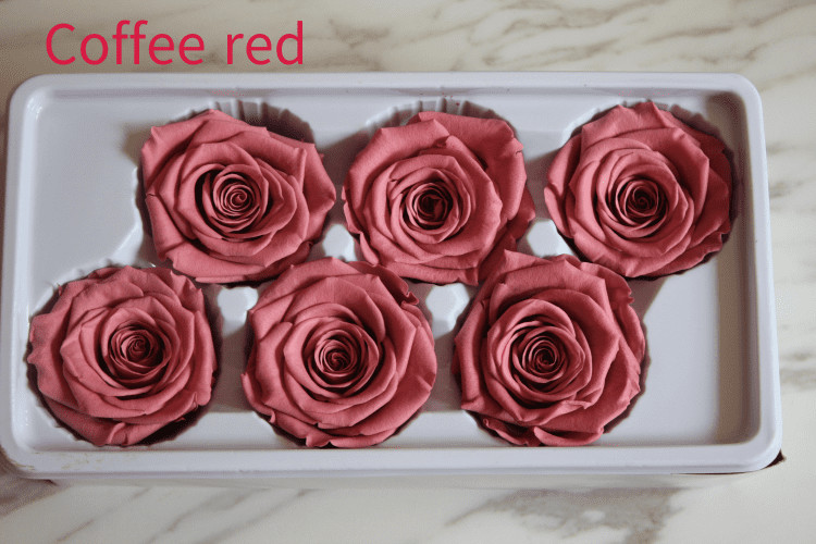 beautiful preserved rose flower A grade stabilized rose preserved long lasting eternal rose 4-5cm
