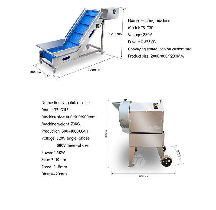 0.75KW 0.8 Tons / Hours Vegetable And Fruit Washing Machine