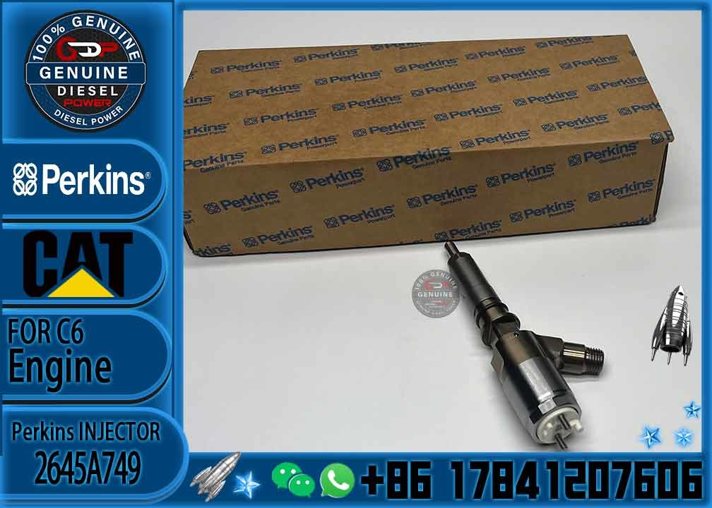 diesel common rail fuel injector 2645A749 for cat C6.6 engine