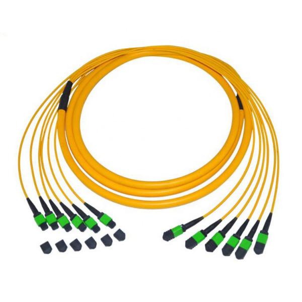 Quality Single Mode 9 / 125 Fiber Optic Patch Cord Cable 12 Fiber Trunk MTP / MPO Pvc for sale